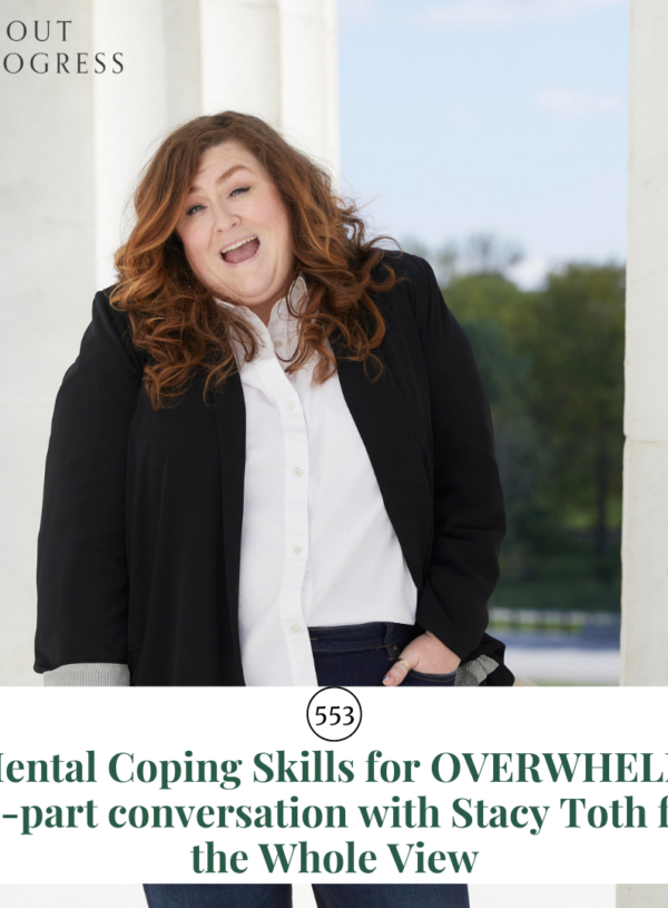 Mental Coping Skills for OVERWHELM || a 2-part conversation with Stacy Toth from the Whole View
